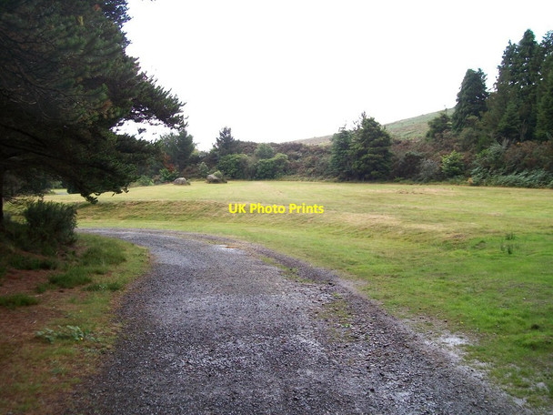 Photo 6"x4" Forest Walk at the Silent Valley Mountain Park Attical c2011