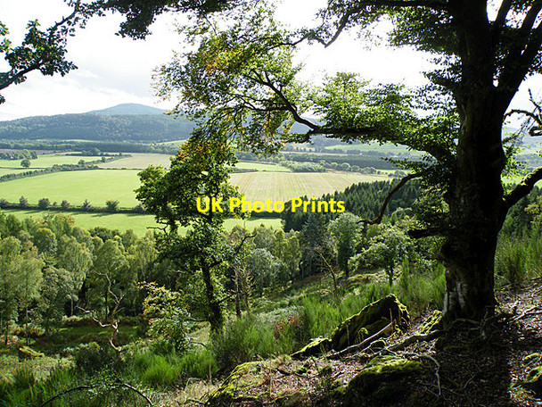 Photo 6"x4" The View from Craig More Comrie\/NN7722 c2010