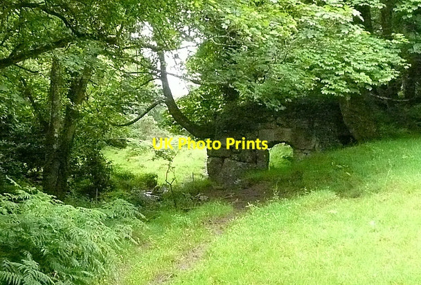 Photo 6"x4" Path from Boskennal to Tregender Castle Gate c2011