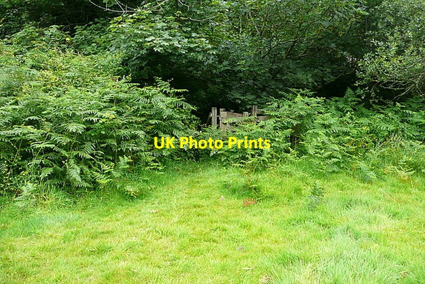 Photo 6"x4" Footpath from Boskennal to Tregender Castle Gate c2011