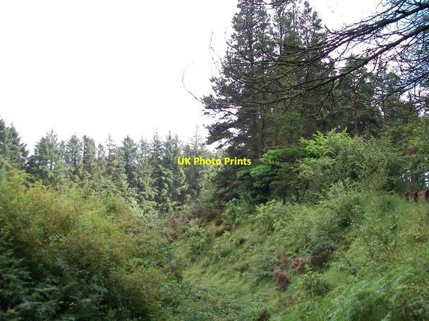 Photo 6"x4" A deeply entrenched minor tributary of the Kilkeel River Attical c2011