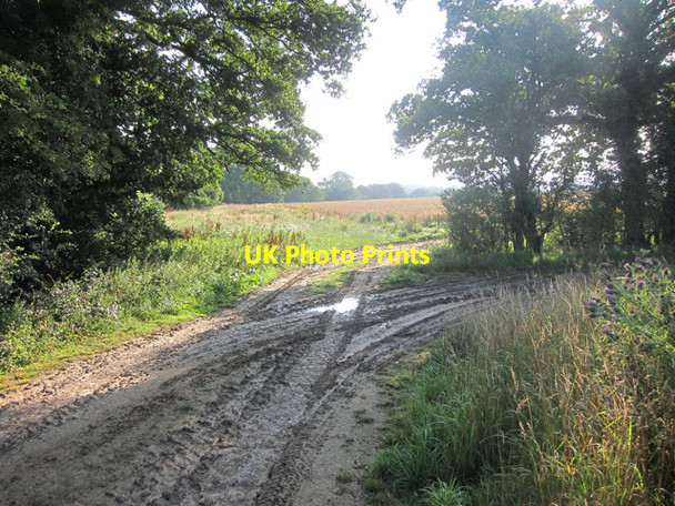 Photo 6"x4" Farm track off Bradford's Lane Shortgate c2011