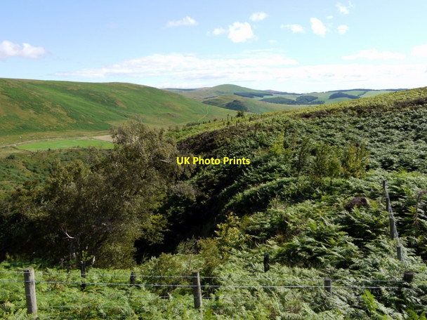 Photo 6"x4" View north-east from Barrow Scar Linbriggs c2011