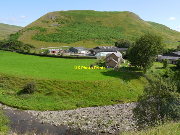 Photo 6"x4" Linbriggs from south bank of River Coquet Linbriggs c2011
