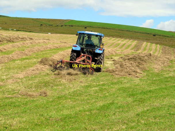 Photo 6"x4" Hay making near Quickening Cote Linbriggs c2011