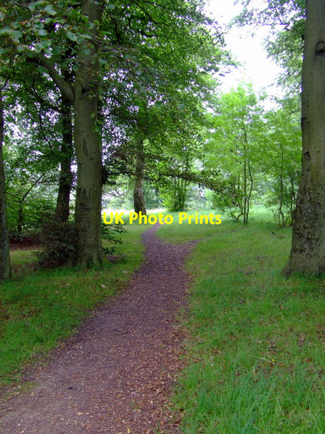 Photo 6"x4" Path in Queens Park Rutherglen c2011
