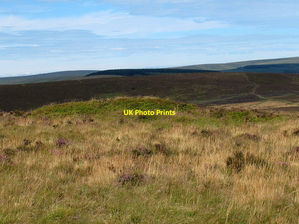 Photo 6"x4" Tumulus near Hookney Tor Heathercombe c2011