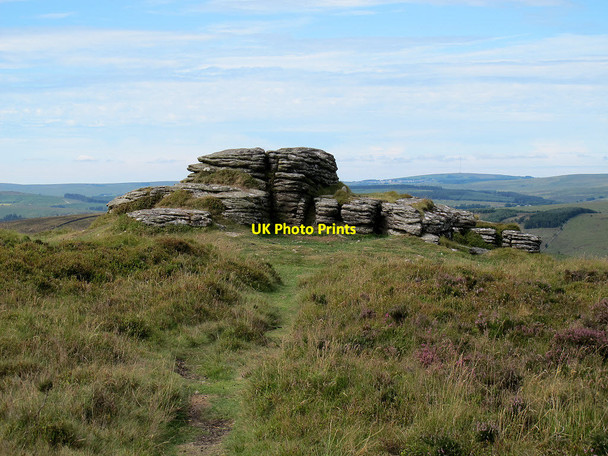 Photo 6"x4" Hookney Tor Heathercombe c2011