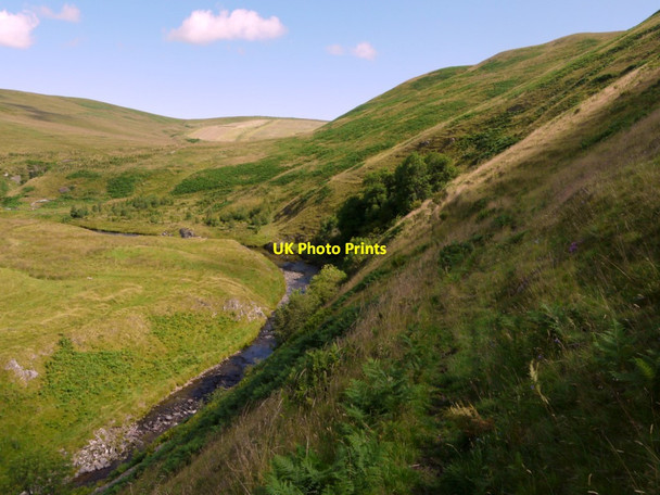 Photo 6"x4" Footpath above the River Coquet Linbriggs c2011