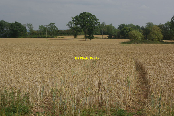 Photo 6"x4" Farmland near Much Birch Cleave c2011