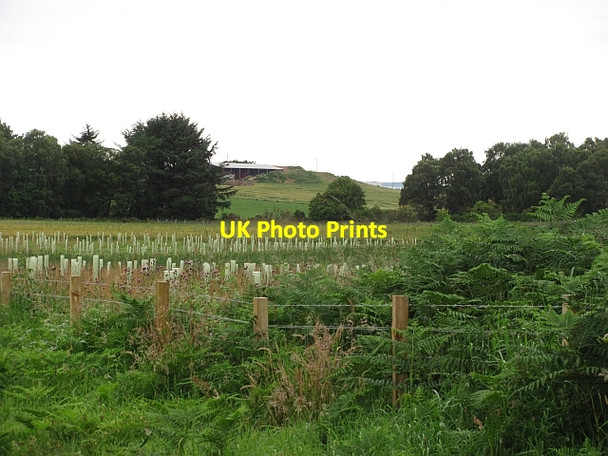 Photo 6"x4" Woodland extension Lochhill\/NJ2964 c2011