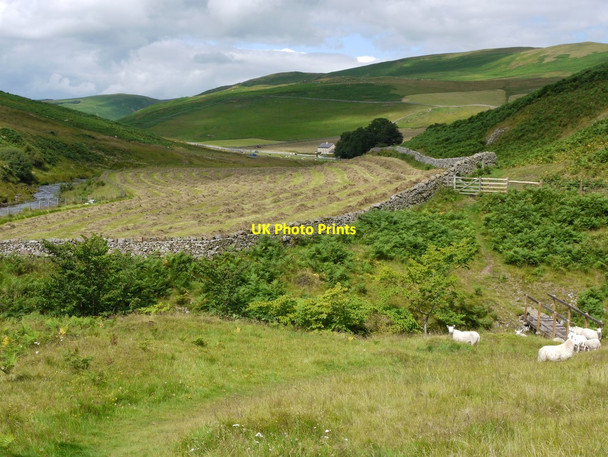 Photo 6"x4" Pass Peth bridlepath at Wholehope Burn near Shillmoor Shillmoor c2011