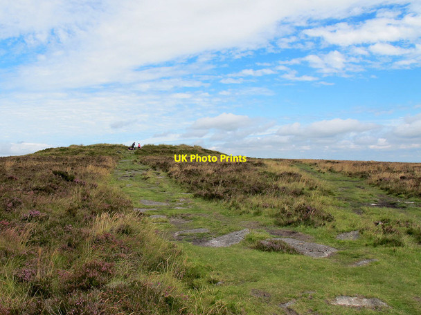 Photo 6"x4" Path to Broad Barrow  Heathercombe c2011