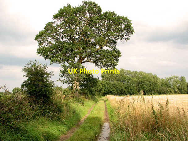 Photo 6"x4" Bridleway south of Hall Common, Ludham Fritton\/TG4018 c2011