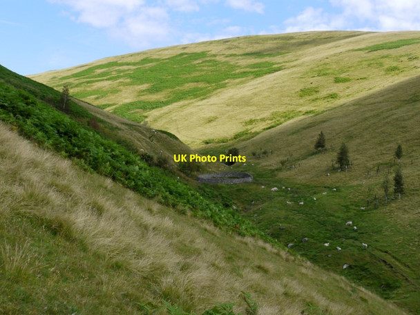 Photo 6"x4" Sheepfold by Mid Hope Burn Barrow Burn\/NT8610 c2011