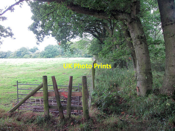 Photo 6"x4" Field near Little Buckham Farm Uckfield c2011