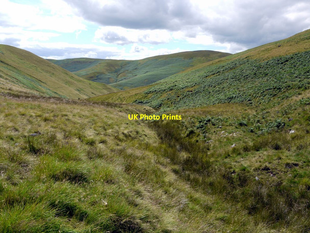 Photo 6"x4" Upper part of Mid Hope Burn Barrow Burn\/NT8610 c2011