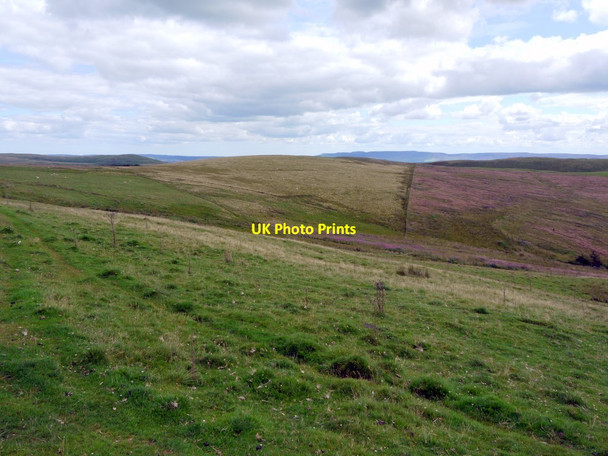 Photo 6"x4" South of Wholehope Knowe Shillmoor c2011