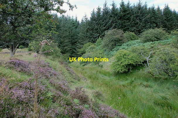 Photo 6"x4" Burn above the Rhymer's Glen Melrose\/NT5434 c2011