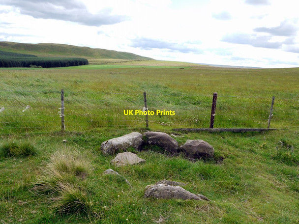 Photo 6"x4" Cockpit against cross dyke on Clennell Street Clennell c2011