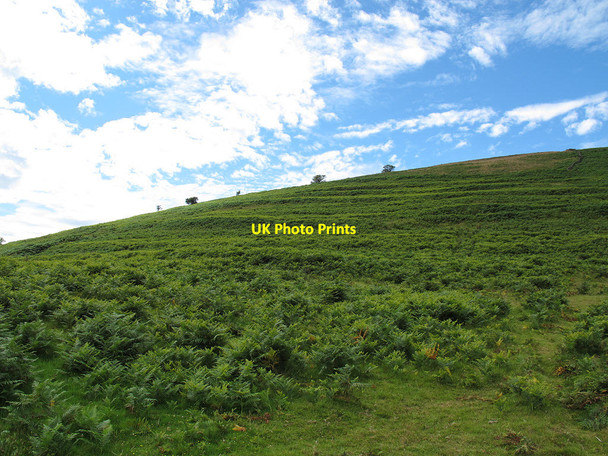 Photo 6"x4" Lynchets near Challacombe Heathercombe c2011