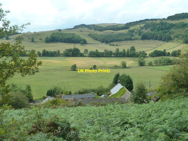 Photo 6"x4" View from Bank Wood South Bubnell c2011