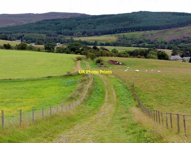 Photo 6"x4" Clennell Street above Alwinton Alwinton c2011