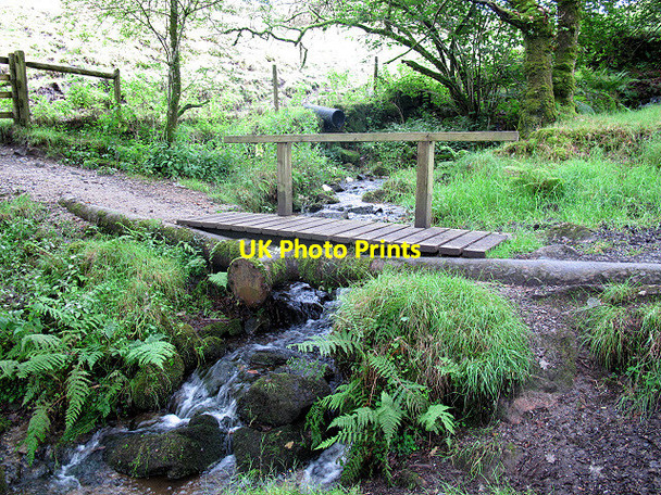 Photo 6"x4" Washout in North Wood Shaugh Prior c2011
