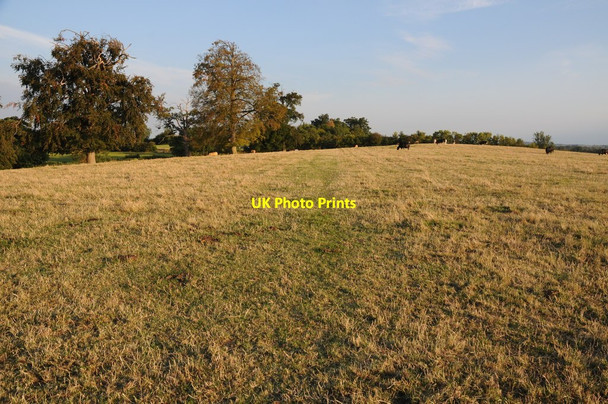 Photo 6"x4" Field near Dunstall Common Dunstall Common c2011 P1