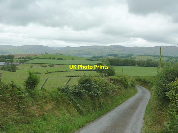 Photo 6"x4" Narrow lane north of Stags Head, Ceredigion Stags Head c2011