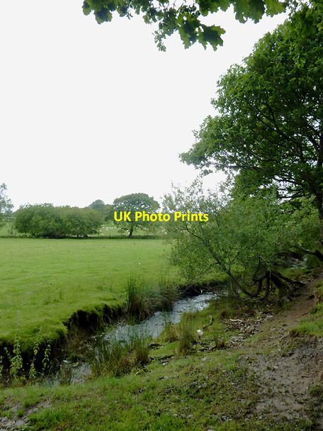 Photo 6"x4" Brook and pasture south of Stags Head, Ceredigion Llanio c2011
