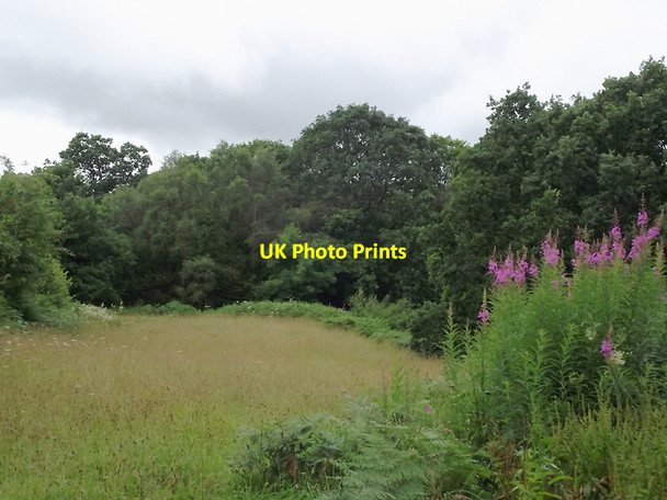 Photo 6"x4" Farmland near  Llanfair Clydogau, Ceredigion Cellan c2011