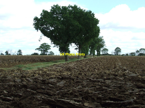 Photo 6"x4" Freshly Ploughed Westhorpe\/TM0469 c2011