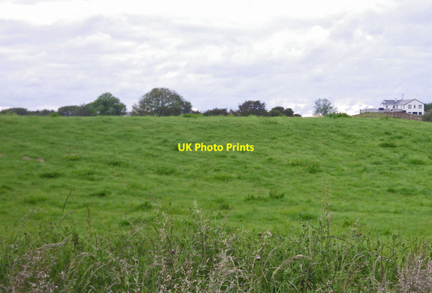 Photo 6"x4" Rising grassland ground with country home on ridge Killala c2011