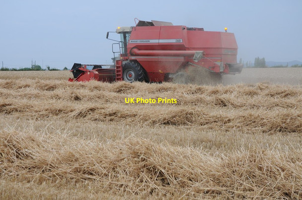 Photo 6"x4" Combine Harvester Holly Green\/SO8641 c2011