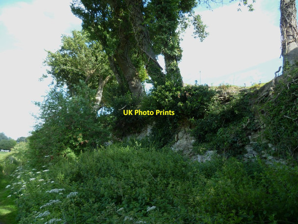 Photo 6"x4" Precarious trees by footpath to Amberley Amberley\/TQ0313 c2011