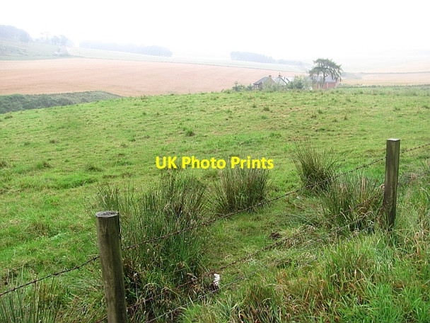 Photo 6"x4" Wideopen Croft West Burnside\/NO7070 c2011