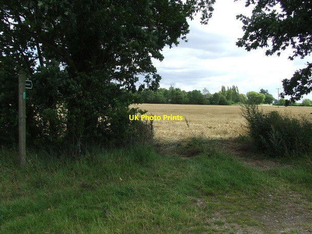Photo 6"x4" Footpath To Westthorpe Lodge Farm Westhorpe\/TM0469 c2011