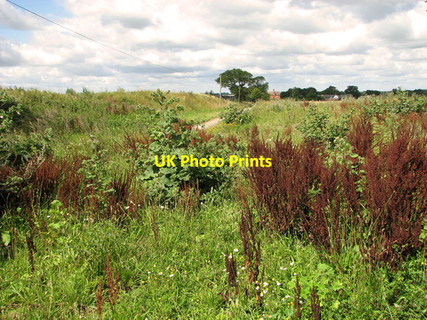 Photo 6"x4" Approaching Repps with Bastwick on Church Road Bastwick c2011