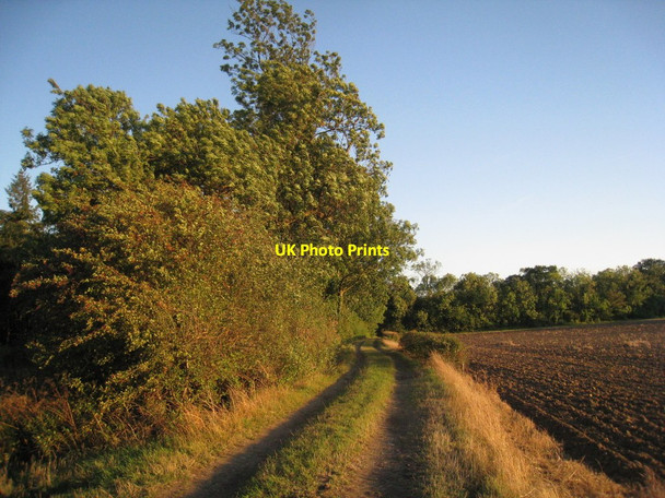 Photo 6"x4" Farm track by Hornby Wood Wharton\/SK8493 c2011