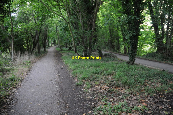 Photo 6"x4" Thames Path near Cookham Cookham c2011