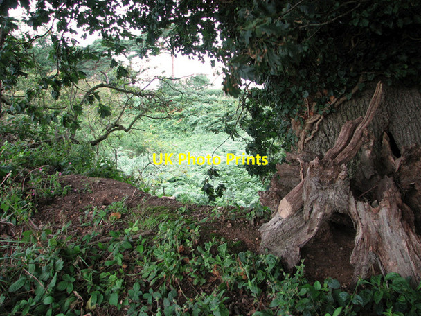 Photo 6"x4" Disused pit, Neatishead Horning c2011