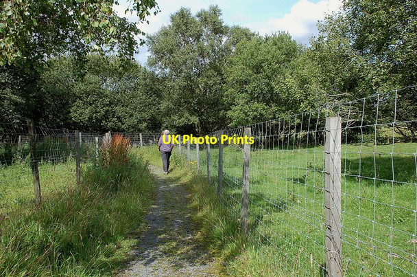 Photo 6"x4" Footpath to Camp Wood above Mayfield Mayfield\/NT3564 c2011