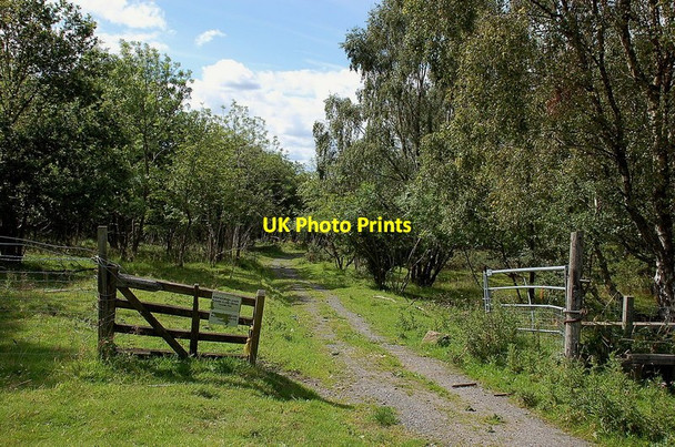 Photo 6"x4" Path in Camp Wood Mayfield\/NT3564 c2011