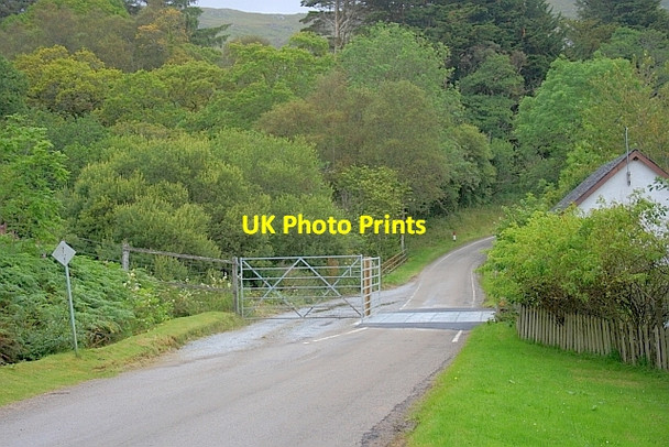 Photo 6"x4" Cattle Grid, Glenmore Glenborrodale c2011