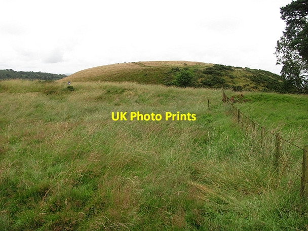 Photo 6"x4" Summit of Cowden Hill Lindores c2011