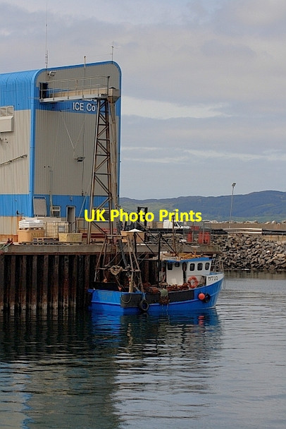 Photo 6"x4" Mallaig Ice Company Courteachan c2011