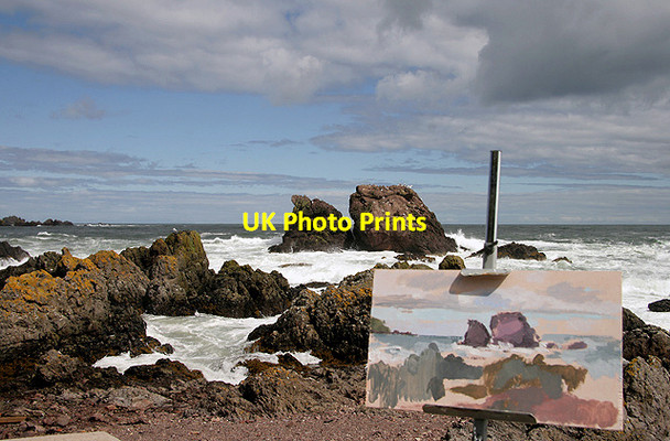 Photo 6"x4" An artist's canvas at St Abbs Northfield\/NT9167 c2011