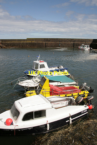 Photo 6"x4" Boats at St Abbs harbour Northfield\/NT9167 c2011
