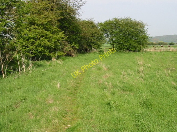 Photo 6"x4" Footpath to Wye Naccolt c2008